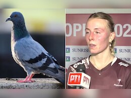 दिल्ली में पक्षी ने रोक दिया इंटरनेशनल मैच