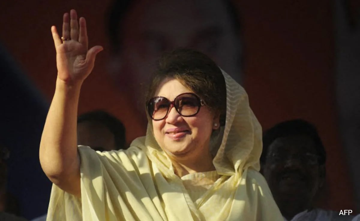 The Art of Baking: From Classic Bread to Artisan Pastries