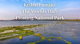 Keibul Lamjao: The World's Only Floating National Park Is Right Here In India
