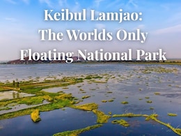 Keibul Lamjao: The World's Only Floating National Park Is Right Here In India