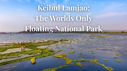 Keibul Lamjao: The World's Only Floating National Park Is Right Here In India