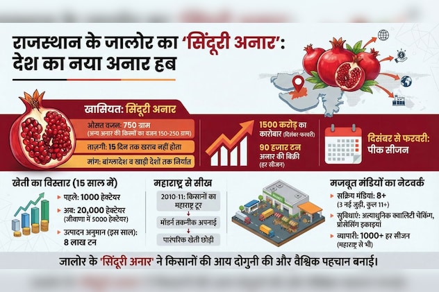 जालोर का सिंदूरी अनार