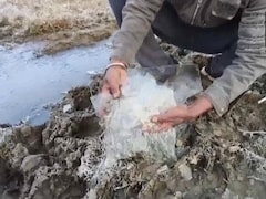 Mount Abu Records Bone-Chilling -7 Degrees Celsius As Cold Wave Defies Expectations