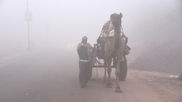 Rajasthan Weather: शेखावाटी से मारवाड़ तक कोल्ड टॉर्चर, 13 शहरों में 5 डिग्री से नीचे तापमान, इन जिलों पर भारी 48 घंटे