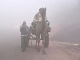 Rajasthan Weather: शेखावाटी से मारवाड़ तक कोल्ड टॉर्चर, 13 शहरों में 5 डिग्री से नीचे तापमान, इन जिलों पर भारी 48 घंटे