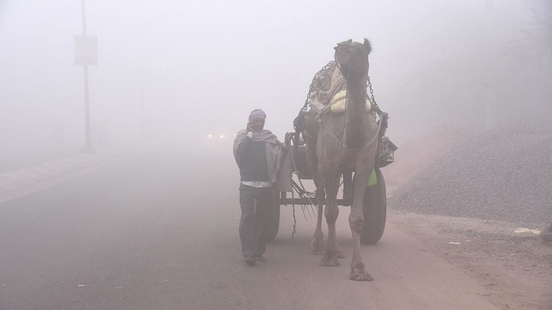Rajasthan Weather: शेखावाटी से मारवाड़ तक कोल्ड टॉर्चर, 13 शहरों में 5 डिग्री से नीचे तापमान, इन जिलों पर भारी 48 घंटे