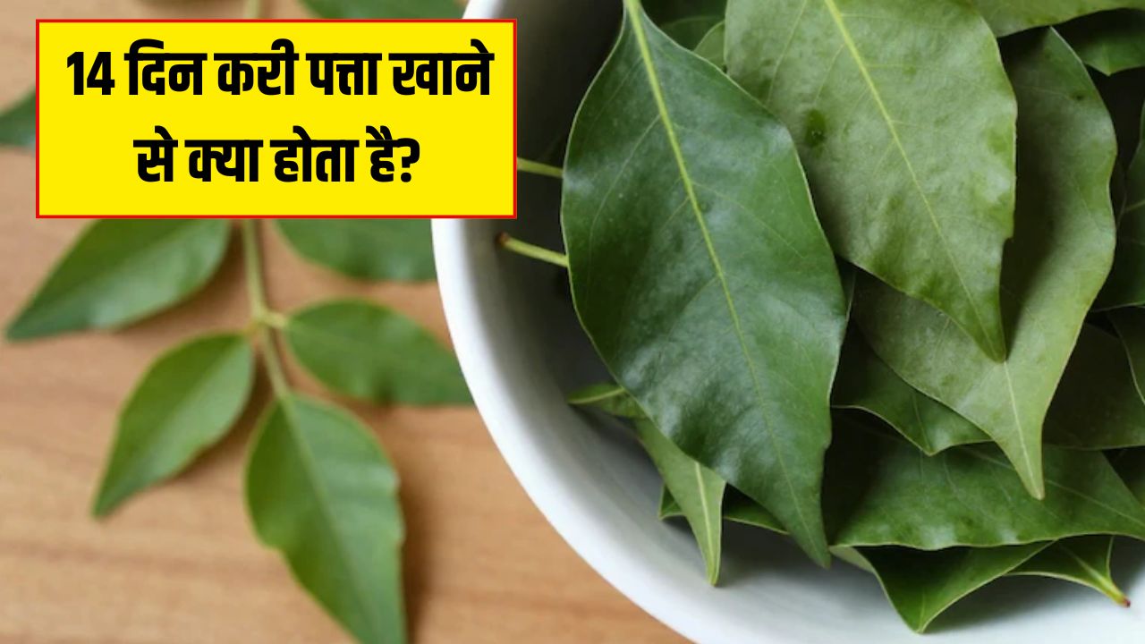 14 दिन करी पत्ता खाने से क्या होता है? Doctor Hansa Yogendra ने बताए करी पत्ते के फायदे