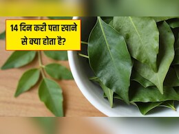 14 दिन करी पत्ता खाने से क्या होता है? Doctor Hansa Yogendra ने बताए करी पत्ते के फायदे