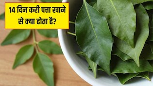 14 दिन करी पत्ता खाने से क्या होता है? Doctor Hansa Yogendra ने बताए करी पत्ते के फायदे