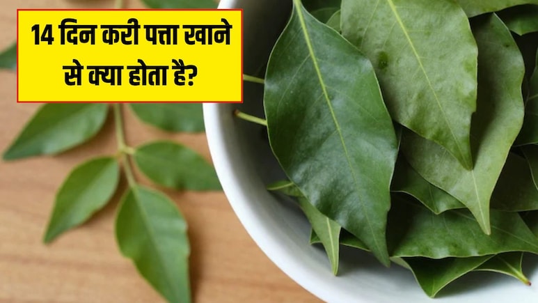 14 दिन करी पत्ता खाने से क्या होता है? Doctor Hansa Yogendra ने बताए करी पत्ते के फायदे