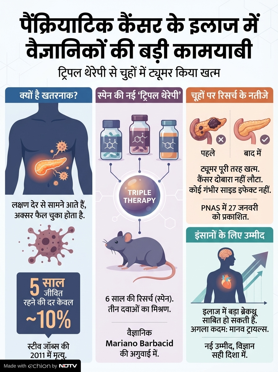 Latest and Breaking News on NDTV