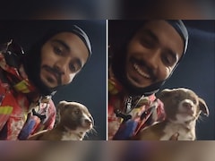 सड़क पर काल बनकर दौड़ रही थी गाड़ियां, देवदूत बनकर Zomato राइडर ने बचाई मासूम पिल्ले की जान,क्यूट वीडियो वायरल