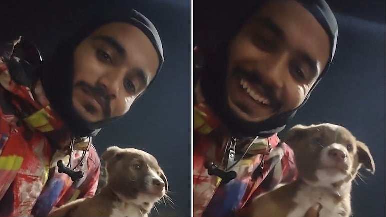 सड़क पर काल बनकर दौड़ रही थी गाड़ियां, देवदूत बनकर Zomato राइडर ने बचाई मासूम पिल्ले की जान,क्यूट वीडियो वायरल