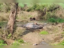 यहां खड़ी फसल काटकर खेतों में होता अंतिम संस्कार, गांव में श्मशान घाट की मांग के लिए दर-दर की ठोकर खा रहे लोग
