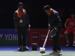 Debris From Bird's Nest Halts Play During India Open Badminton In New Delhi Amid Row