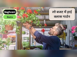 लो बजट में हाई क्लास गार्डन कैसे बनाएं? गार्डन को खूबसूरत बनाने की 5 टिप्स, कम पैसों में खिलखिला जाएगा घर