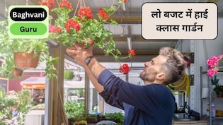 लो बजट में हाई क्लास गार्डन कैसे बनाएं? गार्डन को खूबसूरत बनाने की 5 टिप्स, कम पैसों में खिलखिला जाएगा घर