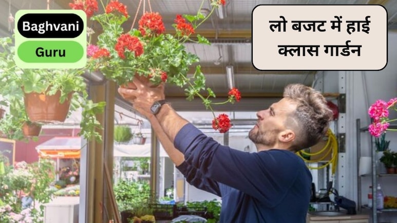 लो बजट में हाई क्लास गार्डन कैसे बनाएं? गार्डन को खूबसूरत बनाने की 5 टिप्स, कम पैसों में खिलखिला जाएगा घर