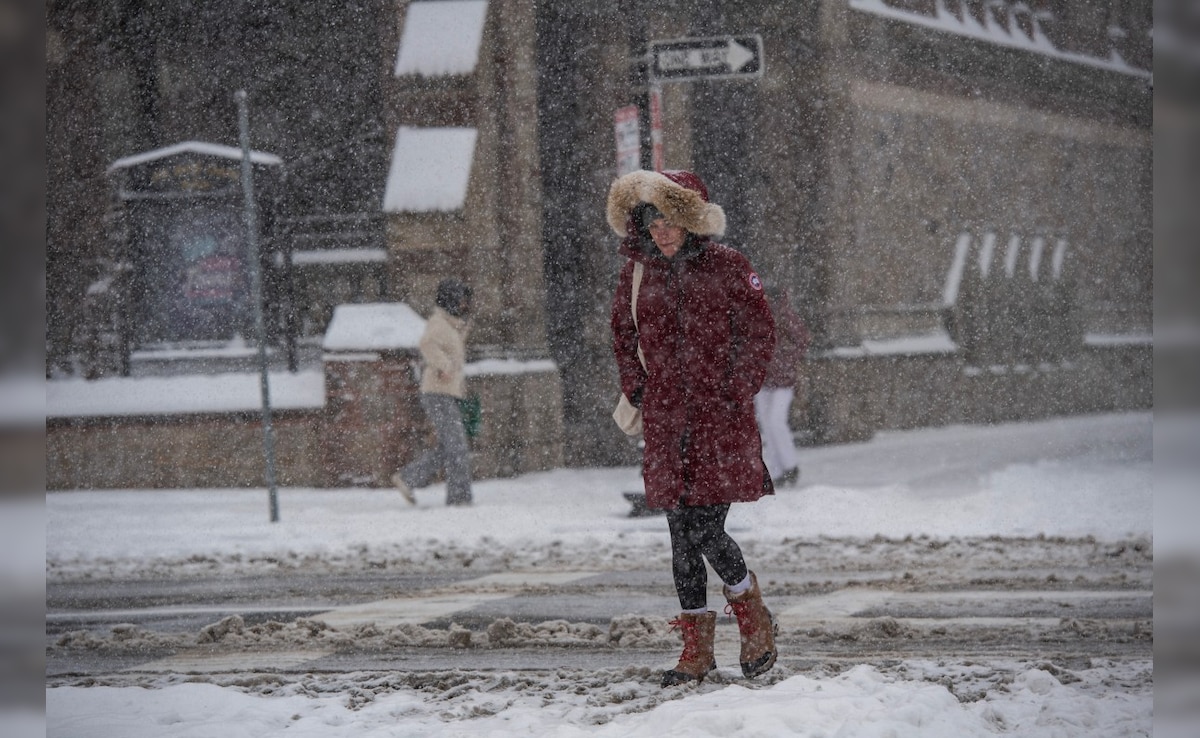 Latest and Breaking News on NDTV