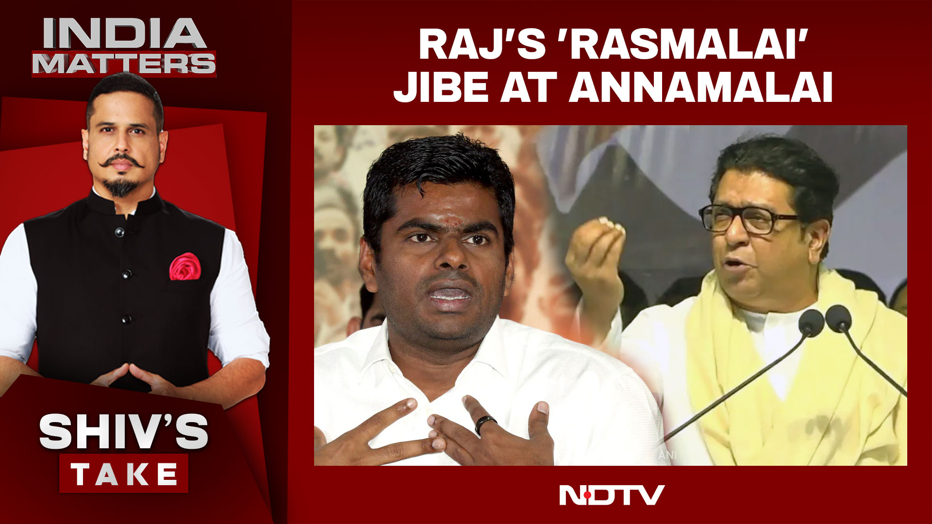 Raj Thackeray's 'Rasmalai' Jibe At BJP Leader Annamalai
