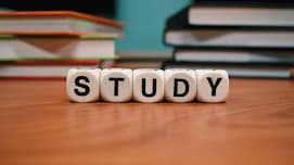 कॉमर्स के छात्रों के लिए कौन सा AI कोर्स है सबसे बेहतर? कई गुना बढ़ जाएगी स्किल