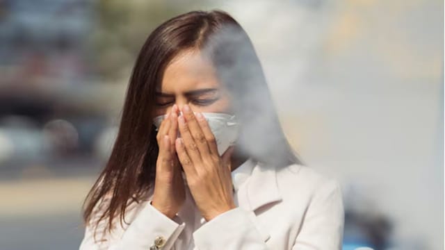 High Pollution, Winter And Poor Lifestyle Fuel Autoimmune Diseases In Women: AIIMS Doctor