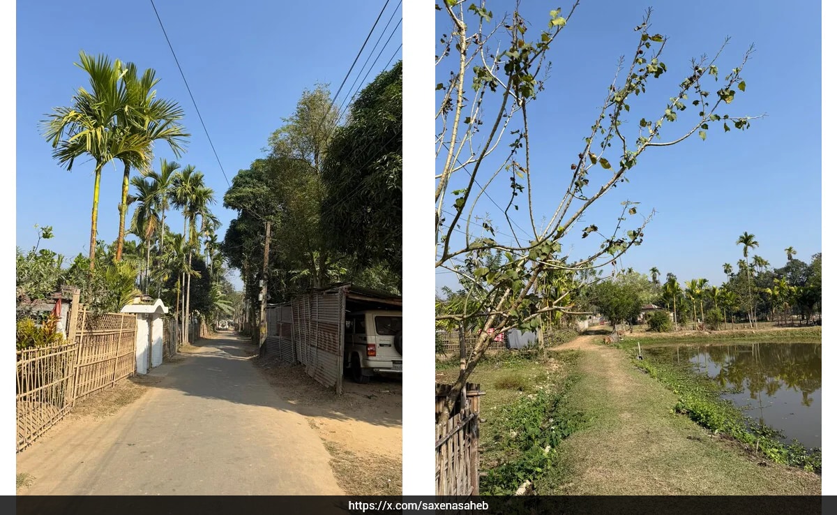 Bengaluru Entrepreneur Shares Experience Working from Remote Northeast Indian Village