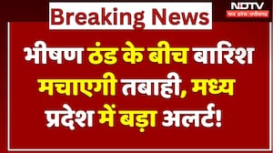 MP Weather Alert: भीषण ठंड के बीच बारिश मचाएगी तबाही! | Cold Wave | Winter | MP | Latest | Top News
