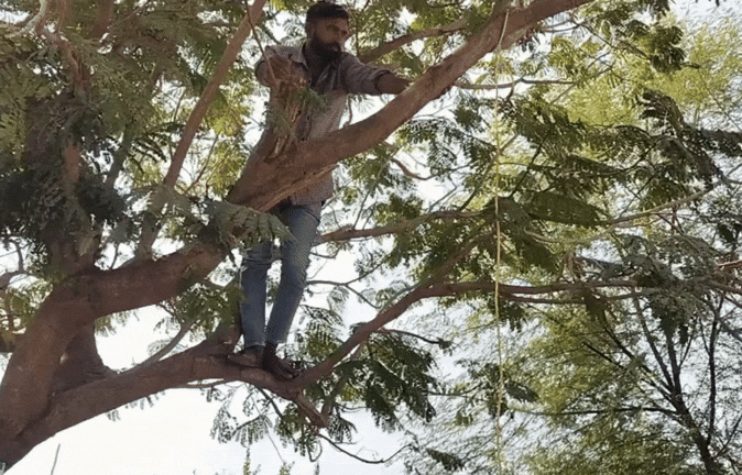 VIDEO: रस्सी लेकर पेड़ पर चढ़ा परेशान किसान, यूरिया खाद के लिए आत्महत्या की कोशिश