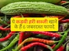 सेहत के लिए वरदान है ये कड़वी चीज, शुगर कंट्रोल करने से लेकर लिवर डिटॉक्स तक होते हैं 6 गजब के फायदे