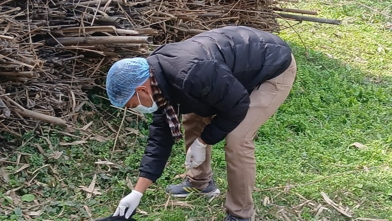 Bird Flu In Chennai: Surveillance Tightens, But Are Humans Safe From This Virus?