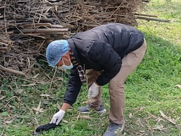 Bird Flu Alert In Chennai: Centre Urges Tamil Nadu To Intensify Preventive Measures After Mass Crow Deaths