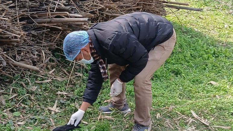 Bird Flu Alert In Chennai: Centre Urges Tamil Nadu To Intensify Preventive Measures After Mass Crow Deaths