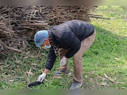 बिहार में बर्ड फ्लू का खौफ, दरभंगा में पुष्टि के बाद अब कटिहार में 100 से ज्यादा कौवों की मौत से हड़कंप