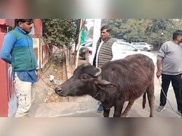 ज&zwj;िला पर&zwj;िषद की बैठक में भैंस लेकर पहुंचा पार्षद, कर डाली बड़ी मांग