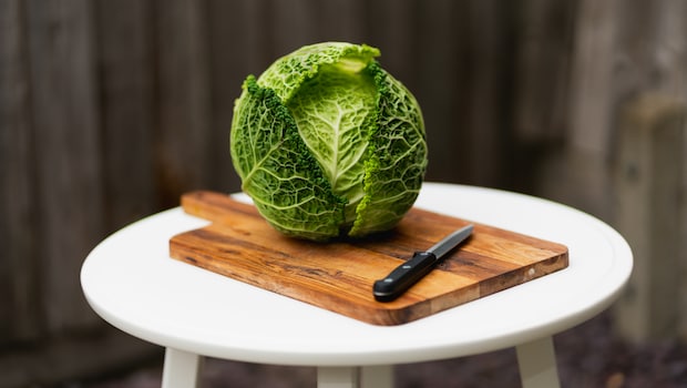 5 Simple Steps To Clean Cabbage Properly Every Time