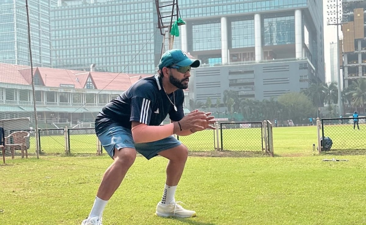 Fan Offers Vada Pav To Rohit Sharma Once Again. His Reply Goes Viral - Watch