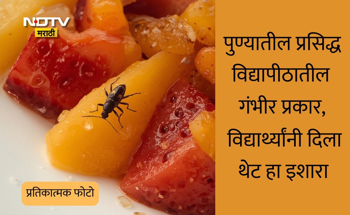 Pune News Toxic Insect Found In Fruit Plate At Savitribai Phule Pune ...