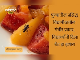 Pune News: विद्यार्थ्यांच्या जीवाशी खेळ, फ्रुट प्लेटमध्ये विषारी कीटक आढळला; पुण्यातील प्रसिद्ध विद्यापीठातील गंभीर प्रकार