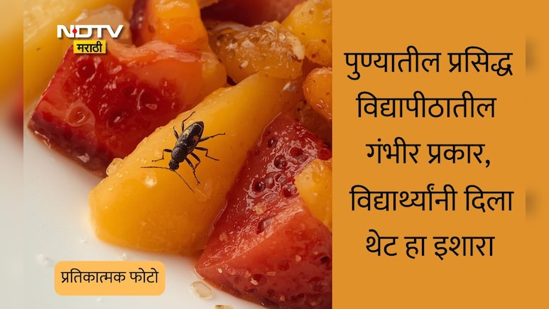 Pune News: पुण्यात विद्यार्थ्यांच्या जीवाशी खेळ, फ्रुट प्लेटमध्ये विषारी कीटक; या विद्यापीठातील गंभीर प्रकार
