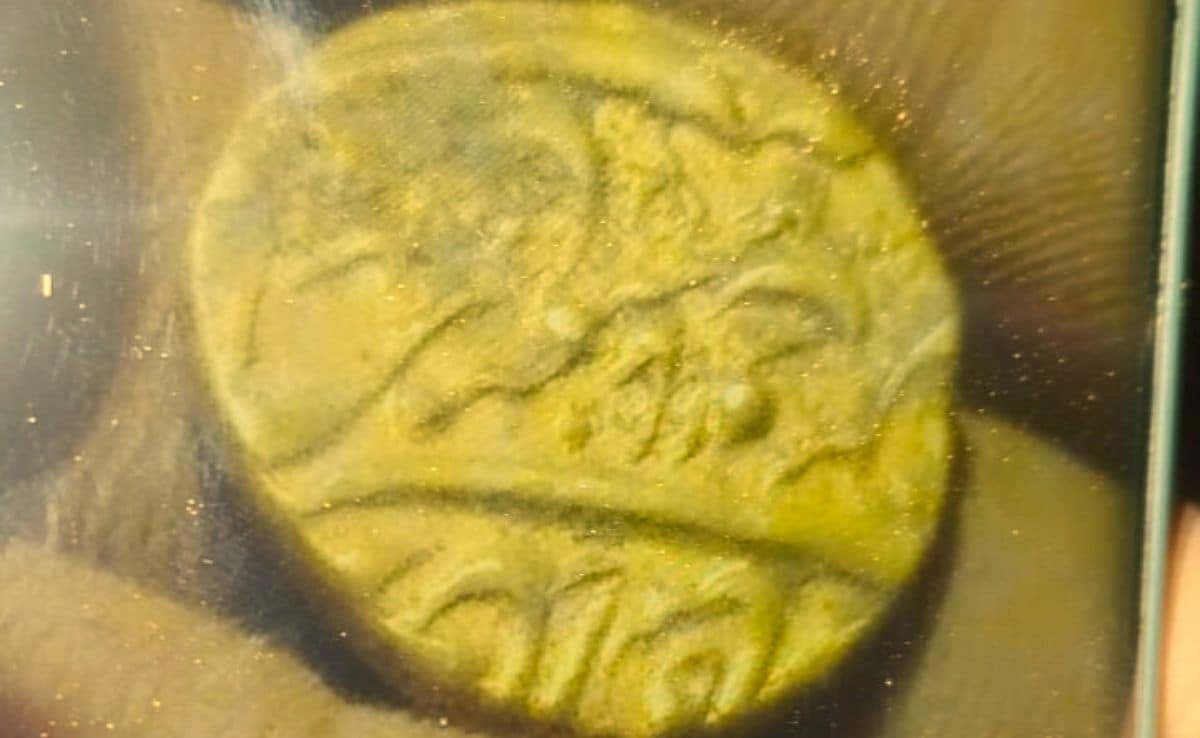 Latest and Breaking News on NDTV Latest and Breaking News on NDTV