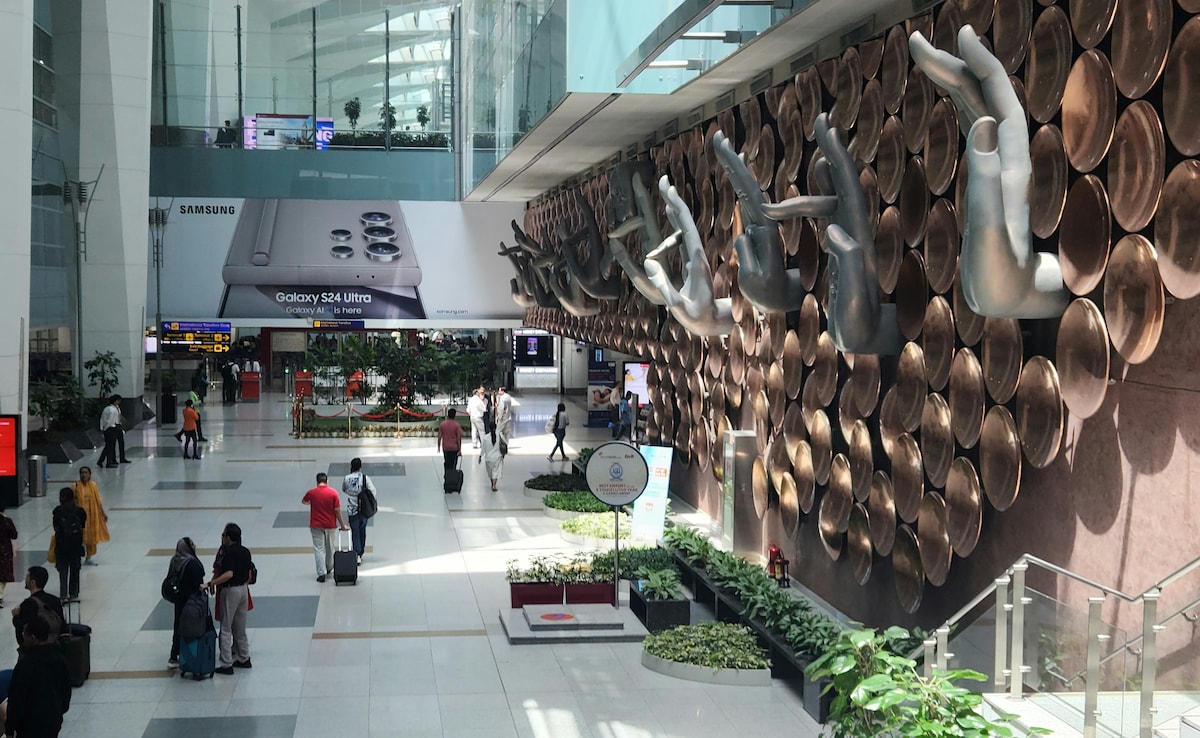 'Human Skeleton' In Luggage Triggers Panic At Delhi Airport, Was Demo Model