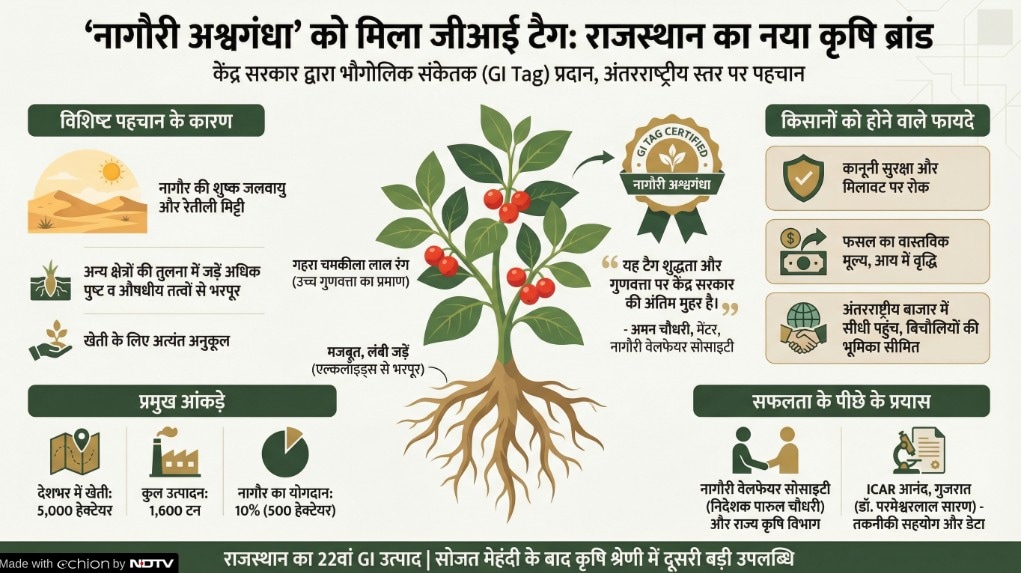 Latest and Breaking News on NDTV