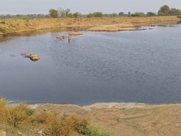 Beed News: विषारी पाण्याने शेती उद्ध्वस्त! आरोग्यालाही धोका; बीडमधील  'या' कारखान्याविरोधात शेतकऱ्यांचा एल्गार