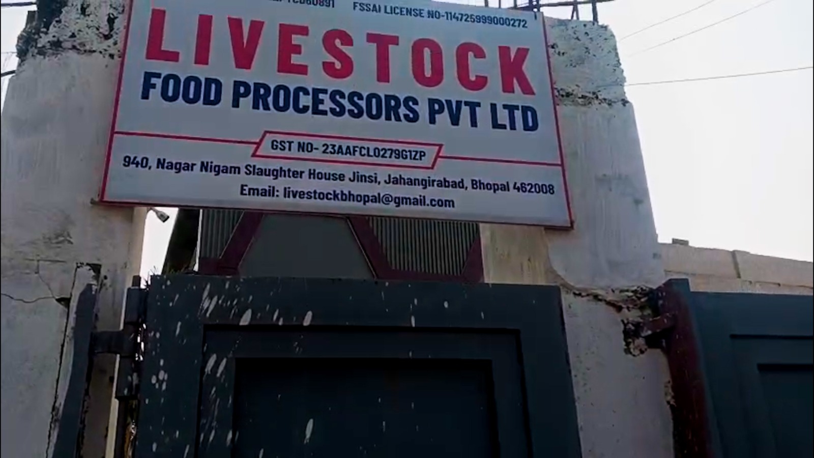 How 260 Cows Were Slaughtered 2 Km From State Secretariat In Madhya Pradesh