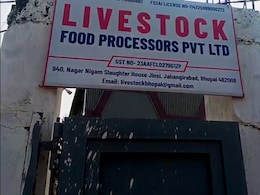 How 260 Cows Were Slaughtered 2 Km From State Secretariat In Madhya Pradesh