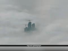 घने कोहरे के बीच से झांकती नोएडा की ऊंची इमारतें...फोटो ने सोशल मीडिया पर मचाई खलबली