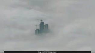 घने कोहरे के बीच से झांकती नोएडा की ऊंची इमारतें...फोटो ने सोशल मीडिया पर मचाई खलबली