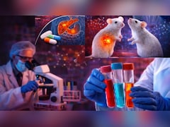 पैंक्रियाटिक कैंसर के इलाज में वैज्ञानिकों की बड़ी कामयाबी, ट्रिपल थेरेपी से चूहों में ट्यूमर किया खत्म