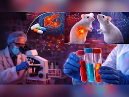 पैंक्रियाटिक कैंसर के इलाज में वैज्ञानिकों की बड़ी कामयाबी, ट्रिपल थेरेपी से चूहों में ट्यूमर किया खत्म